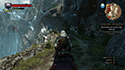 The Witcher 3: Wild Hunt — Screen