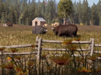 Far Cry 5’s Ecology Is More Than Just Set Dressing