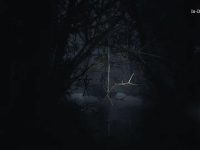 New Blair Witch Gameplay Shows How The Dog Will Play In