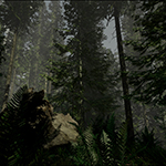 The Forest - Scale