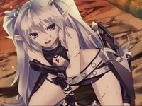 Lessons Learned: Record of Agarest War