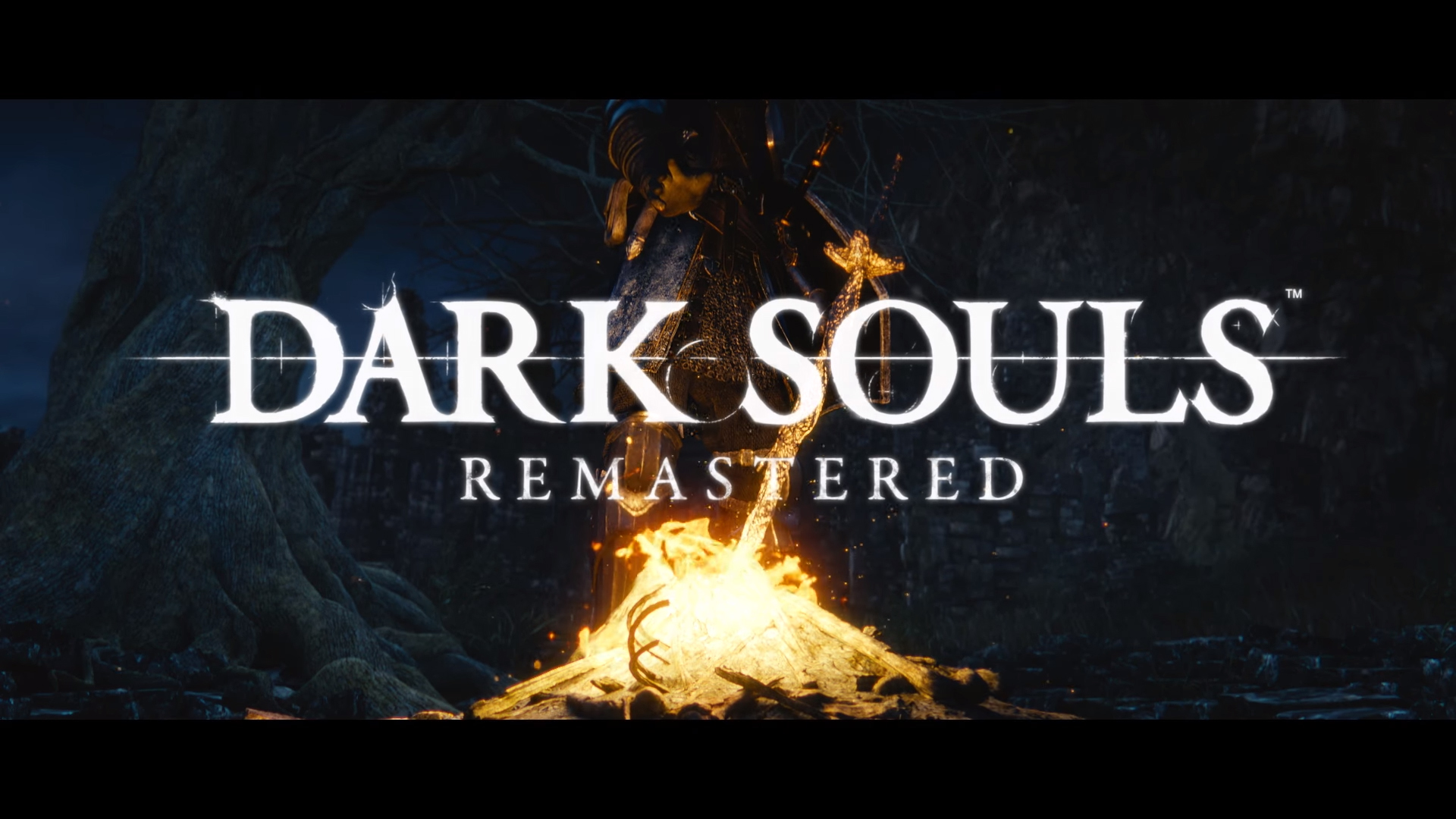 Dark souls remastered стим фото 50