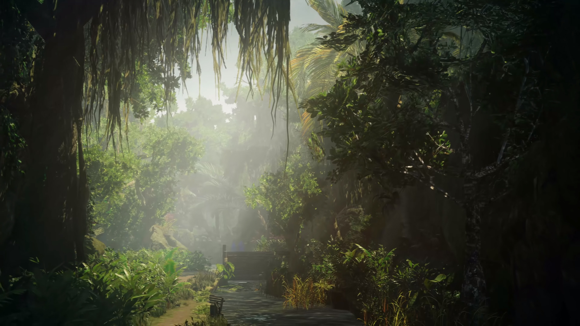 Welcome To The Jungles Of Colombia In The New Location For Hitman 2 ...