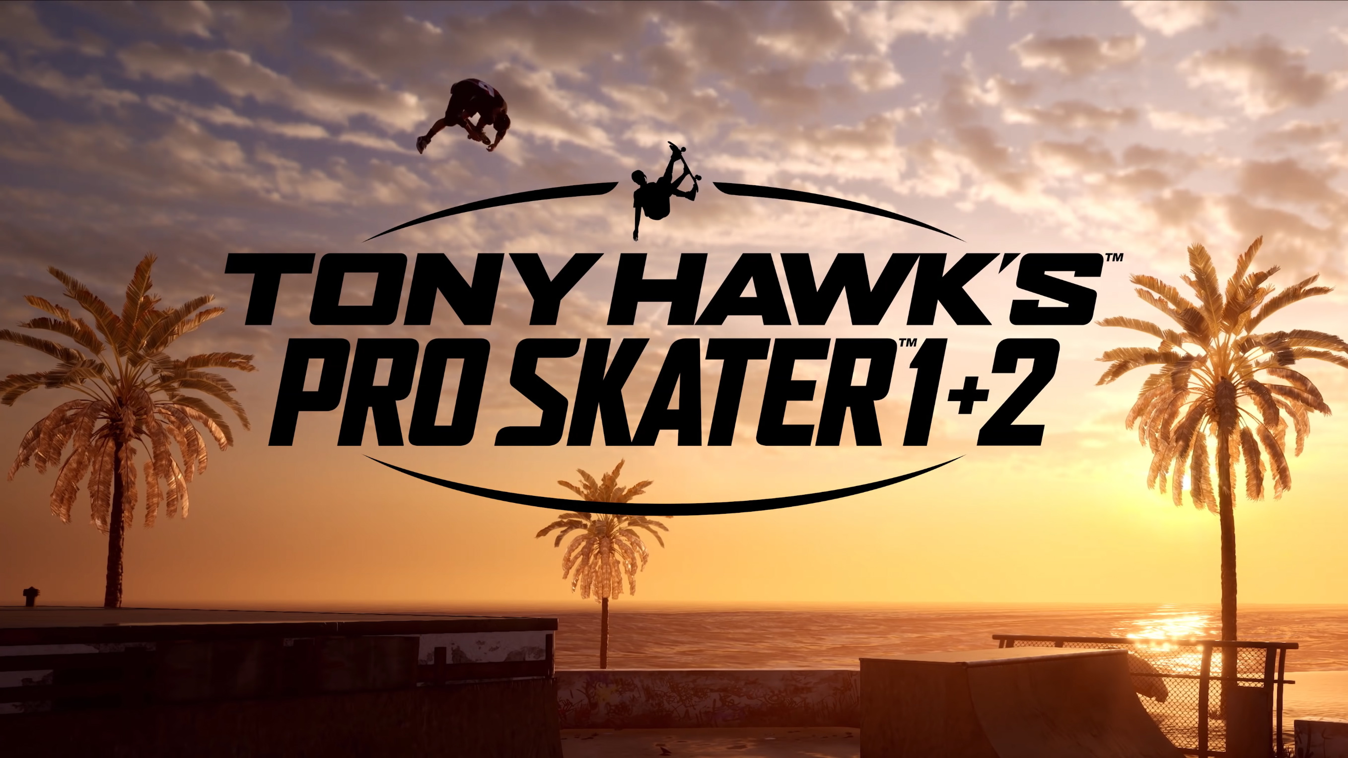 Tony hawk steam key фото 116