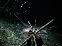 Things Are Going Virtual Here Soon For Blair Witch