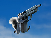 Squirrel With A Gun Takes Aim At Us All Right Now