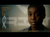 Take Flight & Enjoy Some Freedom With Joy In The Darkness Of Directive 8020