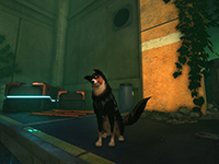 The Best Agent Is On The Case In New Gameplay For Barkour
