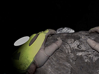 New Horrors Are Abound In The World Of Cave Crave