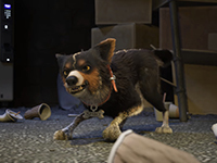 Barkour Runs Us All Through A Bit Of The Story We Can Experience This Year